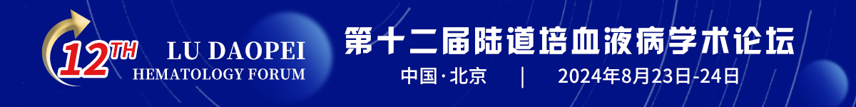 第十二届陆道培血液病学术论坛