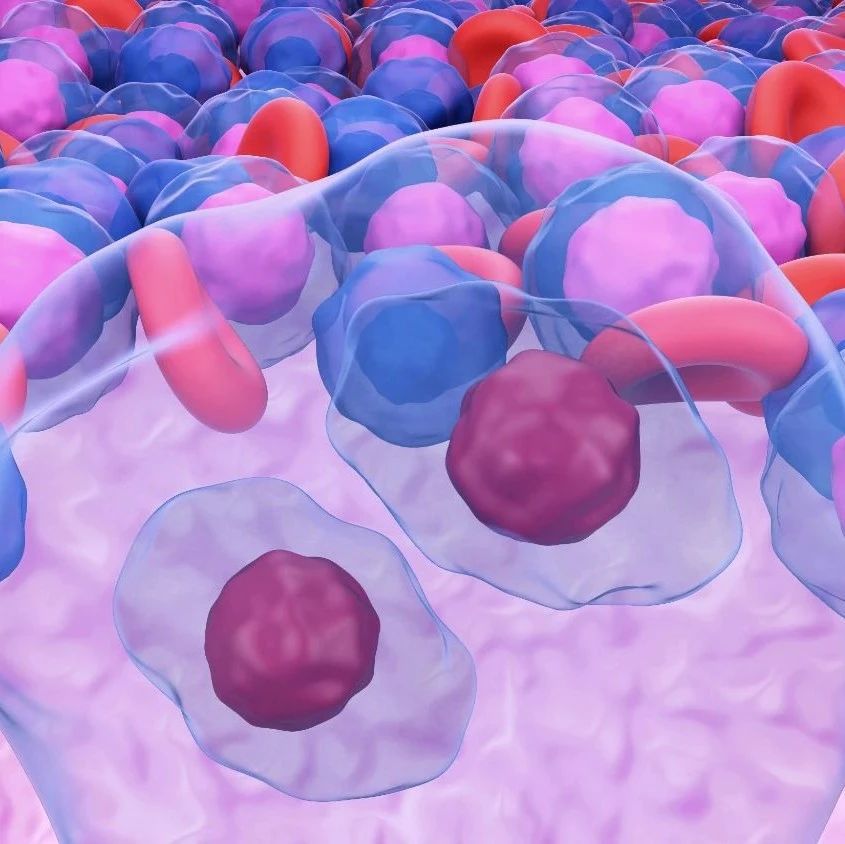 Blood Adv丨POD24滤泡性淋巴瘤（FL）的治疗模式与结局：来自LEO联盟的分析'